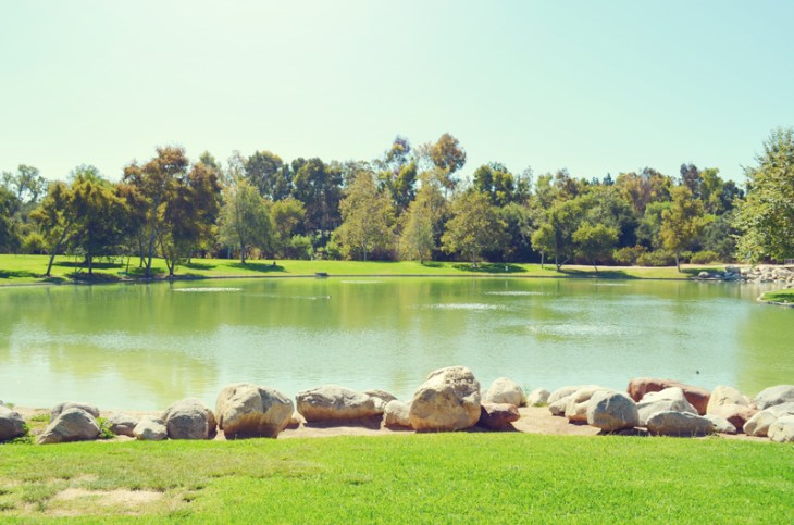 Bruce's First Birthday