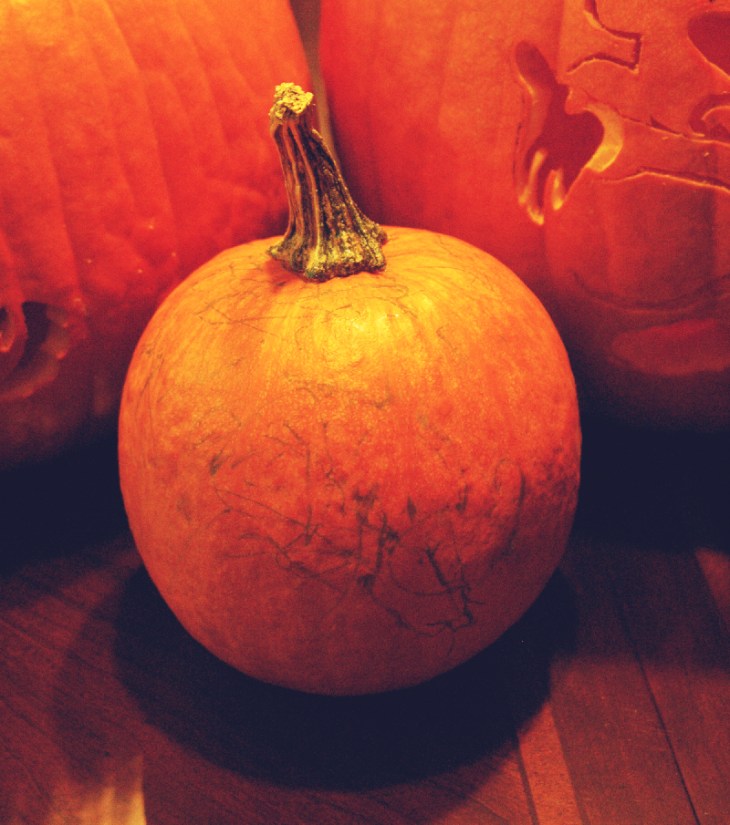 Pumpkin Carving 2012