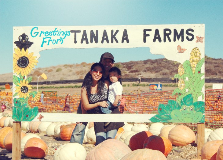 Pumpkin Patch 2012