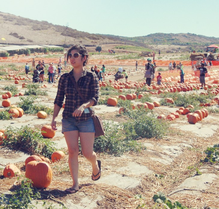 Pumpkin Patch 2012