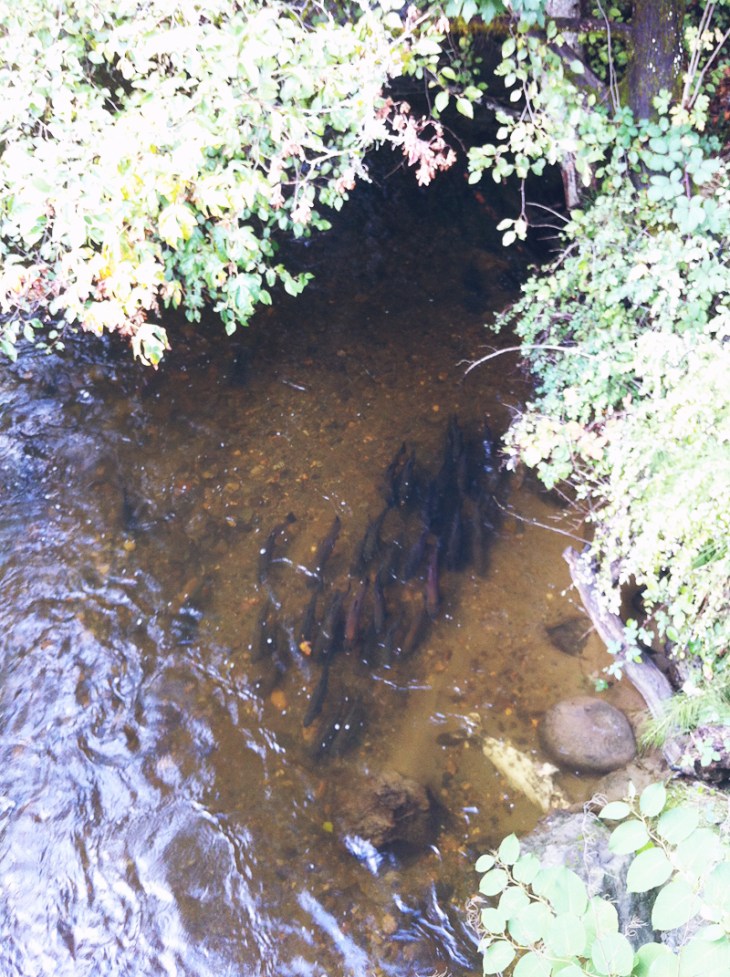 Sisters Seattle Trip