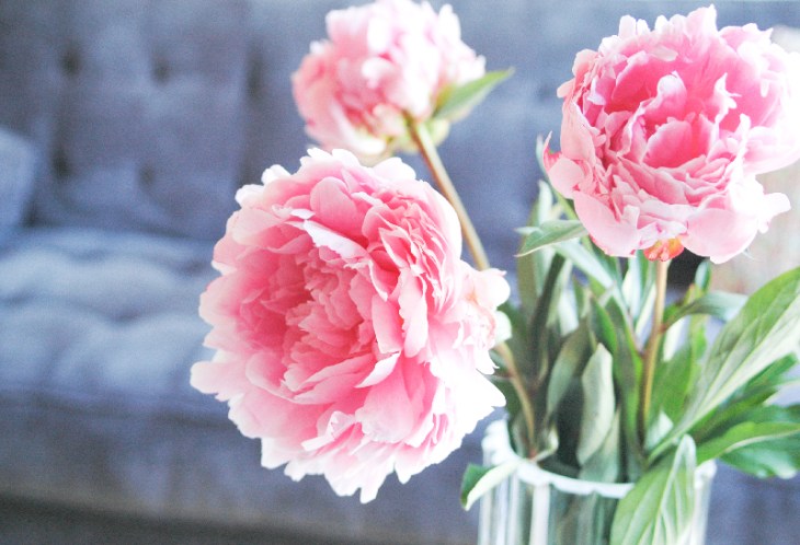 LivingRoom_PinkPeonies