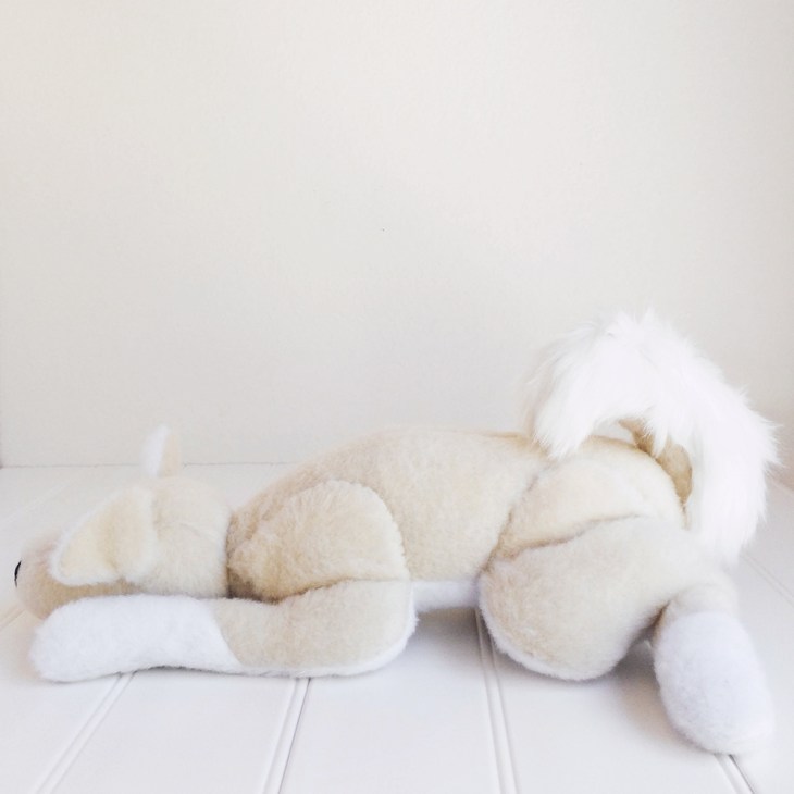 Momo the Shiba Inu Dog