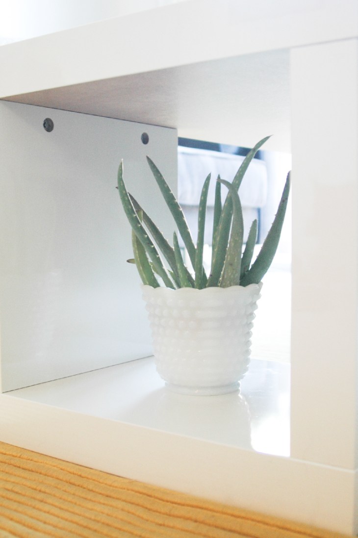 LivingRoom_AloeVera
