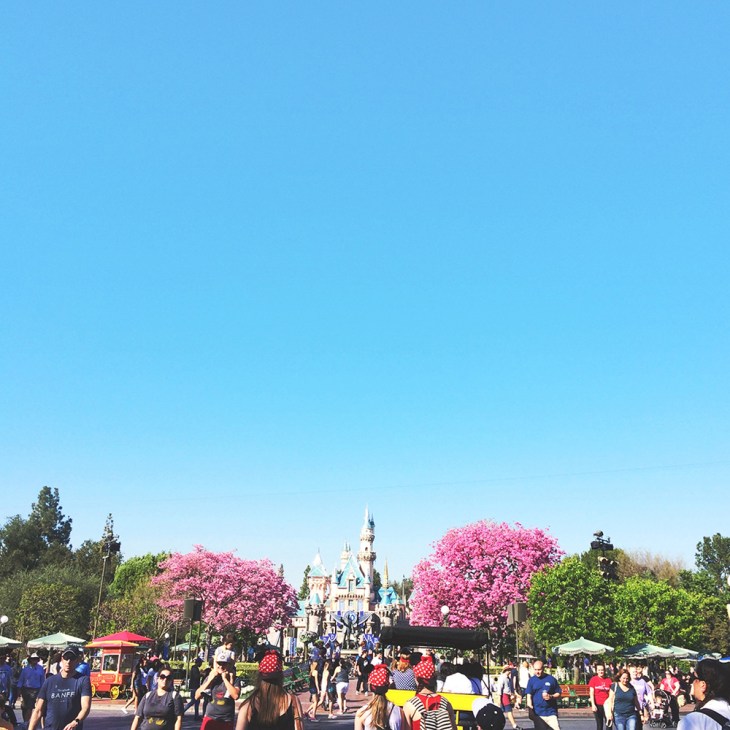 Disneyland