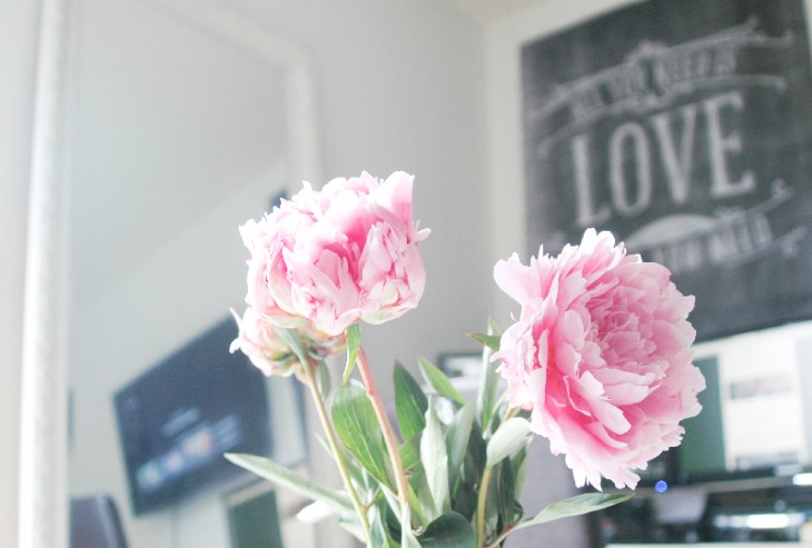 Workspace_Peonies