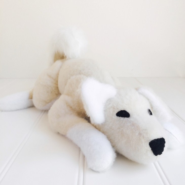 Momo the Shiba Inu Dog